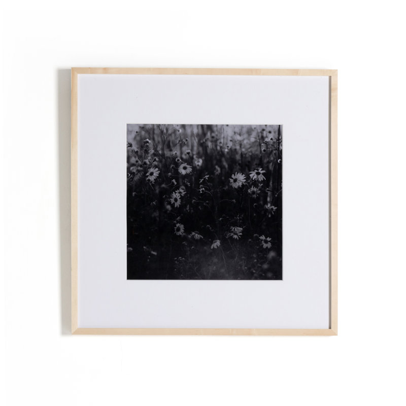 Floral Film II Print by Annie Spratt, 40" H x 40" W x 2.5" D