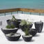 Delano Planter-1196885416-1196885459
