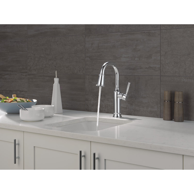Robinet de bar pulvérisateur rétractable à poignée simple Renaldi, Chrome Lumicoat