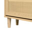16 Pair Shoe Storage Cabinet
