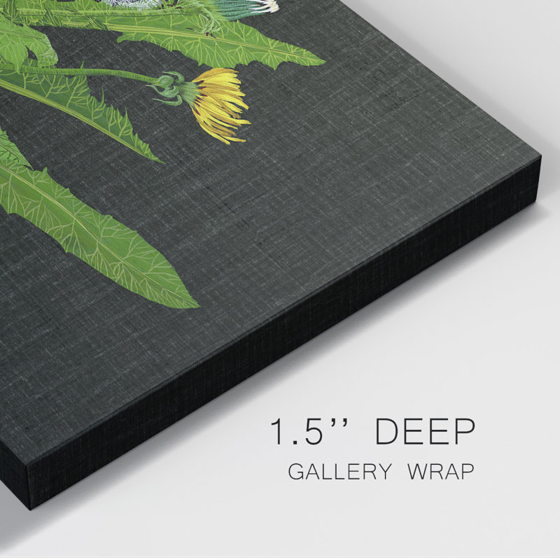 Wild Dandelion II - Wrapped Canvas Print, 18" W x 12" H