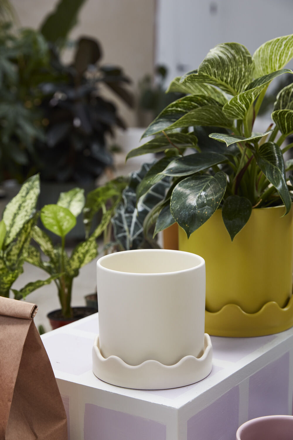 Ceramic Pot Planter, Beige, 5.75" H x 6" W x 6" D