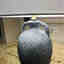 Customer photo 3 of 3