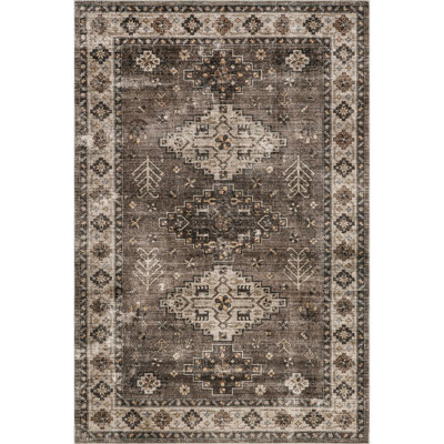 Haskett Distressed Machine Washable Area Rug