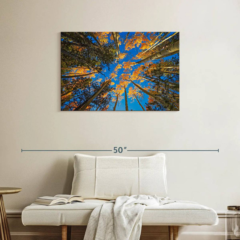 Alvord Aspen Forest In Autumn, 24" H x 36" W