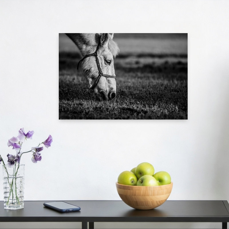 Print, 30.48cm H x 45.72cm W