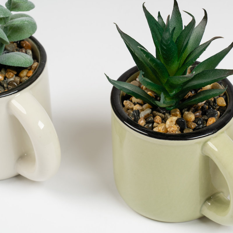Faux Succulent Cups