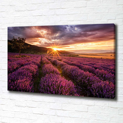 Lavender Field - Wrapped Canvas Print