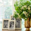 Shagreen Picture Frame-33747614-33747618