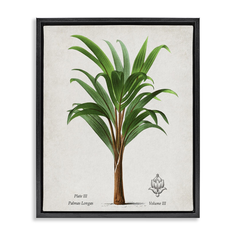Cadre flottant Palmas Longas Palm, design par Val Rhodes, H 31 po x l 25 po, Cadre flottant noir de jais