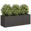 Metal Planter Box-1032581153-1032581148