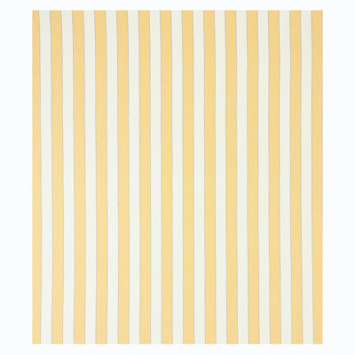 Blumont Stripe Indoor/Outdoor Fabric