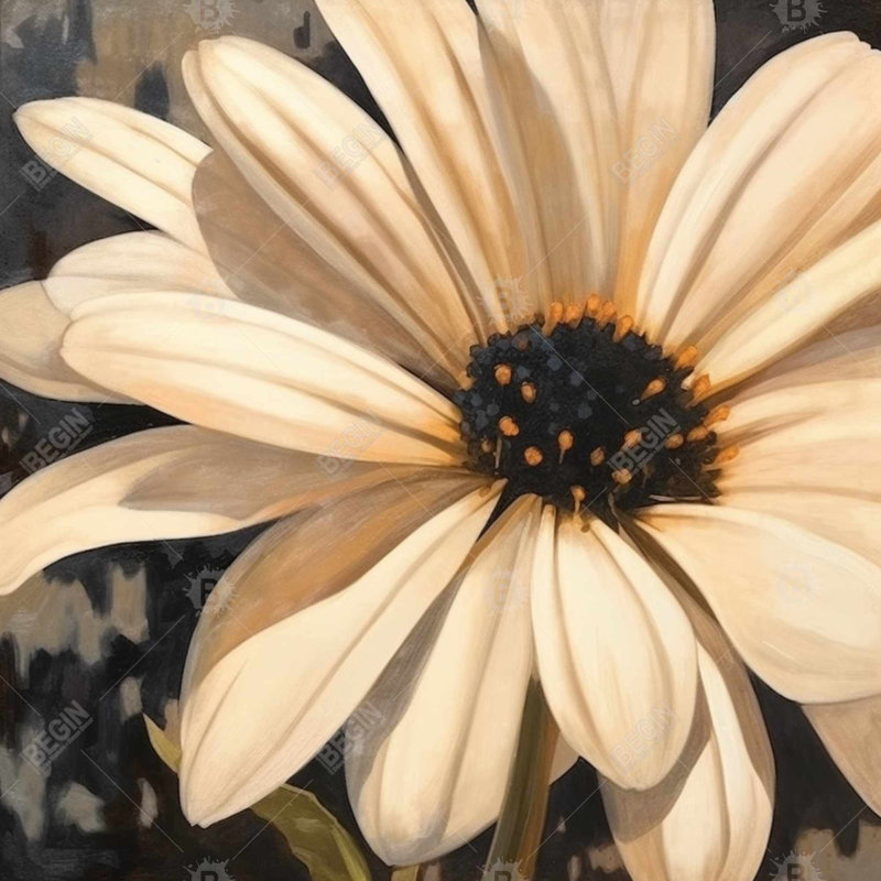 «Open Daisy» sur toile