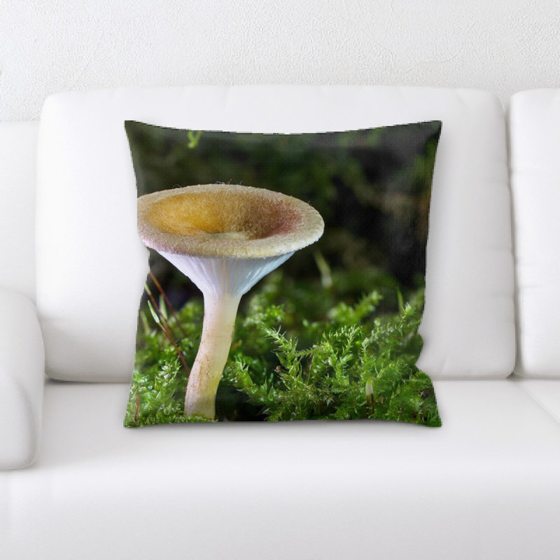Coussin champignon champignon