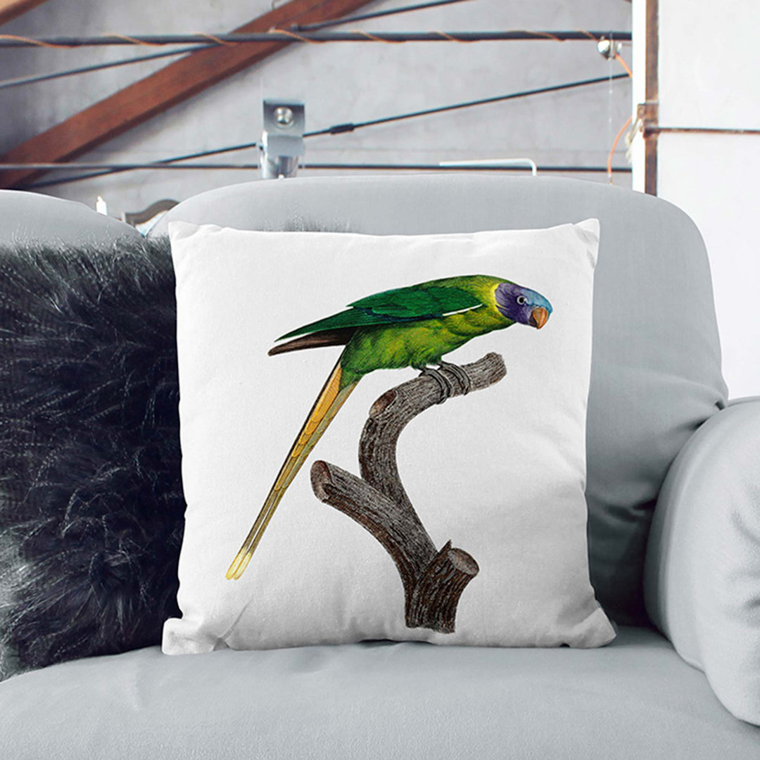 A Headed Parakeet by F. Levaillant Cushion with Filling