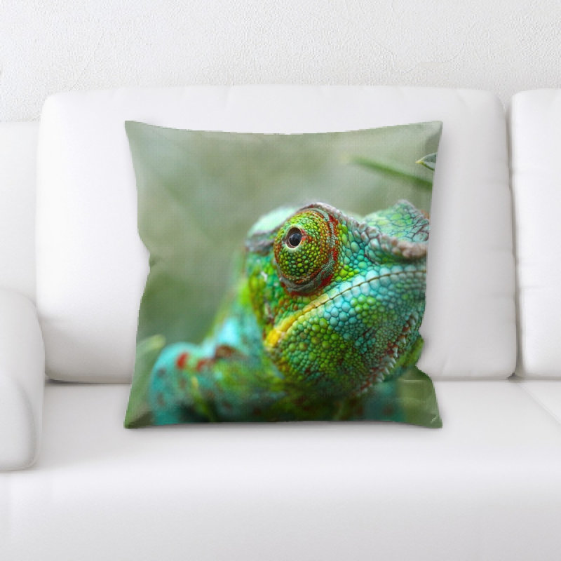 Coussin décoratif Vitagliano