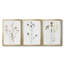 Toile encadrée de qualité supérieure Pressed Botanical I - Prêt à être accroché-69981828-69981829