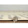 Mawhinney Geometric Indoor Rug
