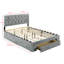 Aerilyn Upholstered Storage Bed-2082517233-2082517244