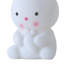 DIY Bunny Night Light Craft Painting Kit