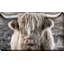 Highland Skye - photographie sur toile tendue-88069073