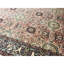 Sona Oriental Area Rug