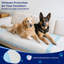 Tapis d'apprentissage extra large pour chiots, 119 x 79 cm, paquet de 40.