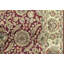 Magnolia Wool Oriental Area Rug in Light Yellow/Red