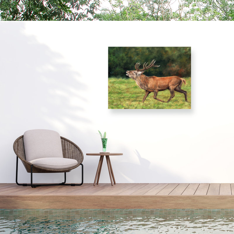 Toile de plein air David Stribble Red Deer Stag, H 18 po x l 24 po