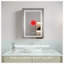 Miroir pour armoire à pharmacie à fixation en surface H 26 po x l 20 po Hesperos-387463257