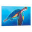Rainbow Sea Turtle by DawgArt - Gallery-Wrapped Canvas Giclee on Canvas-89233149-112913595
