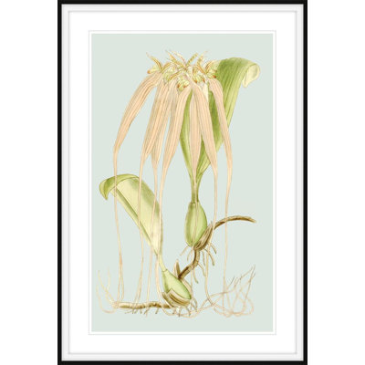 Forget Me Not 1 Print by Art House Studios