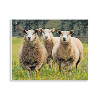 Moutons broutant dans l'herbe, art mural par Sundance Group, LLC.