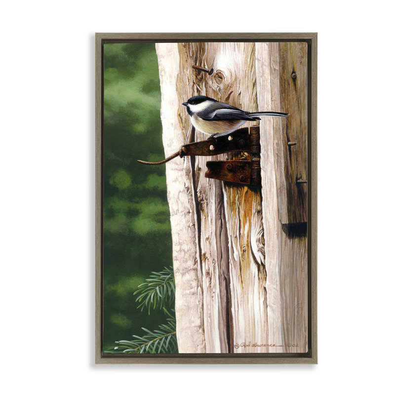 «Bird on Rusty Perch», toile flottante encadrée par Rod Lawrence, H 25 po x l 17 po, Cadre flottant brun