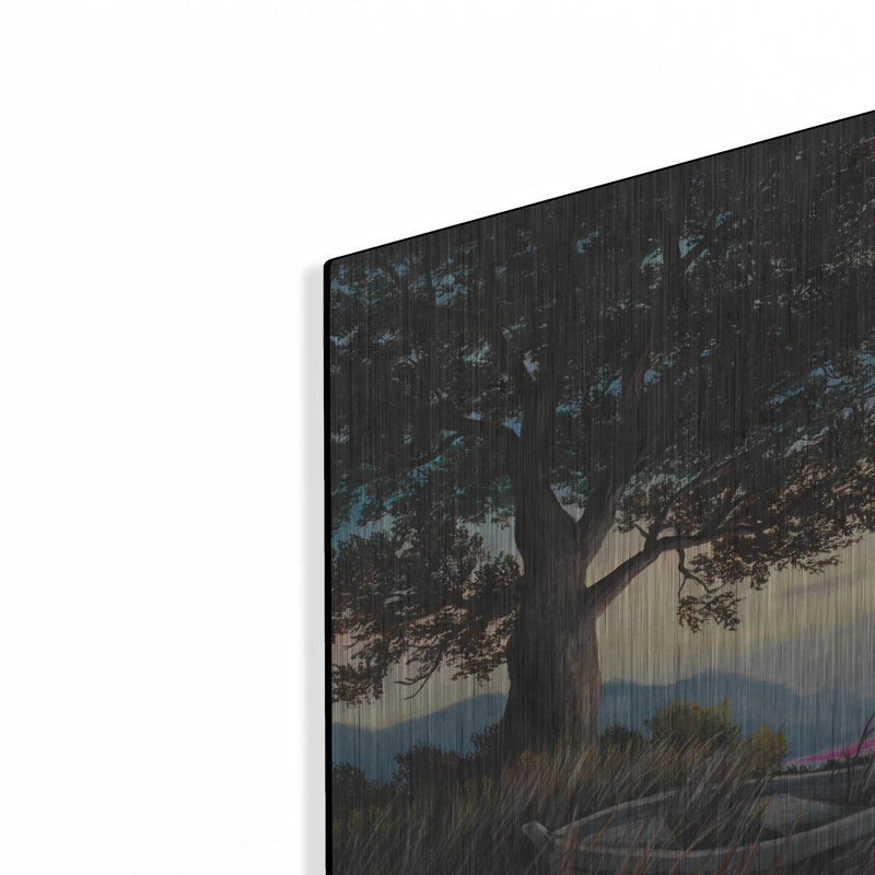  «Blue Ridge Morn» par Campbell Frost, art mural en métal, 16 po x 12 po, H 12 po x l 16 po