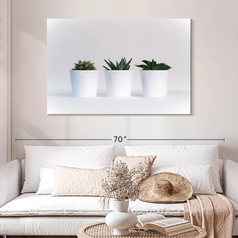Harnek Three Succulents, H 32 po x l 48 po