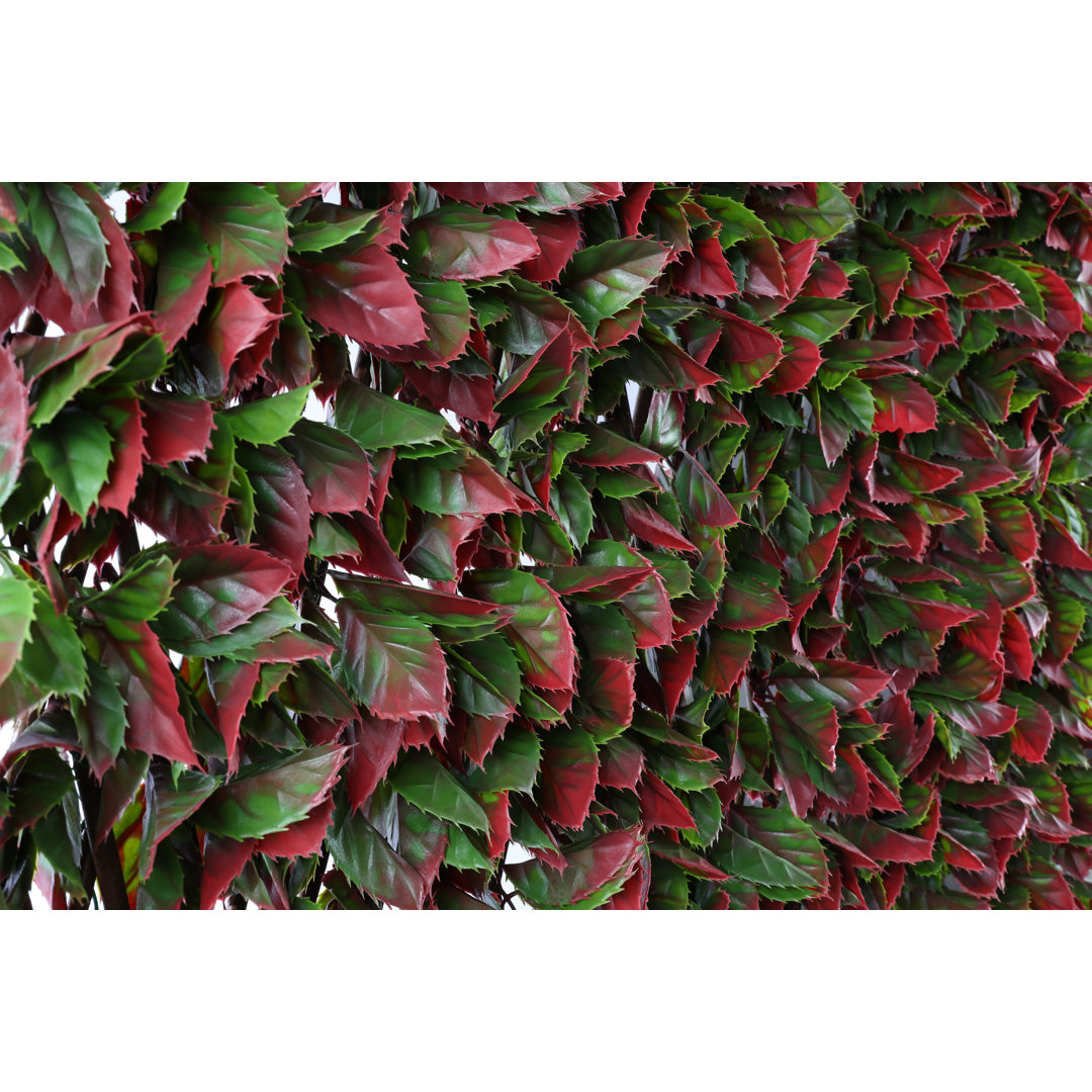 Annalicia 100Cm H x 200Cm W Plastic Expanding Trellis
