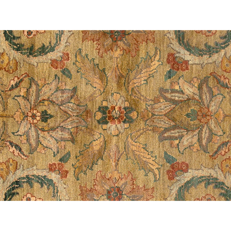 Hand Knotted Wool Oriental Area Rug in Ivory And Gold