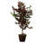 4' Artificial Capensia Bush, Rattan Basket