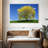 Harnek Spring Weeping Willow-107850704