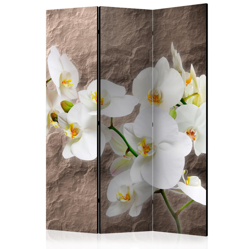 Omalley Solid Wood Folding Room Divider, 3