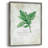 Fresh Basil Framed Print - Solid Wood-1892898468