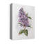 Awash in Lilac II - Impression sur toile tendue-1365650104