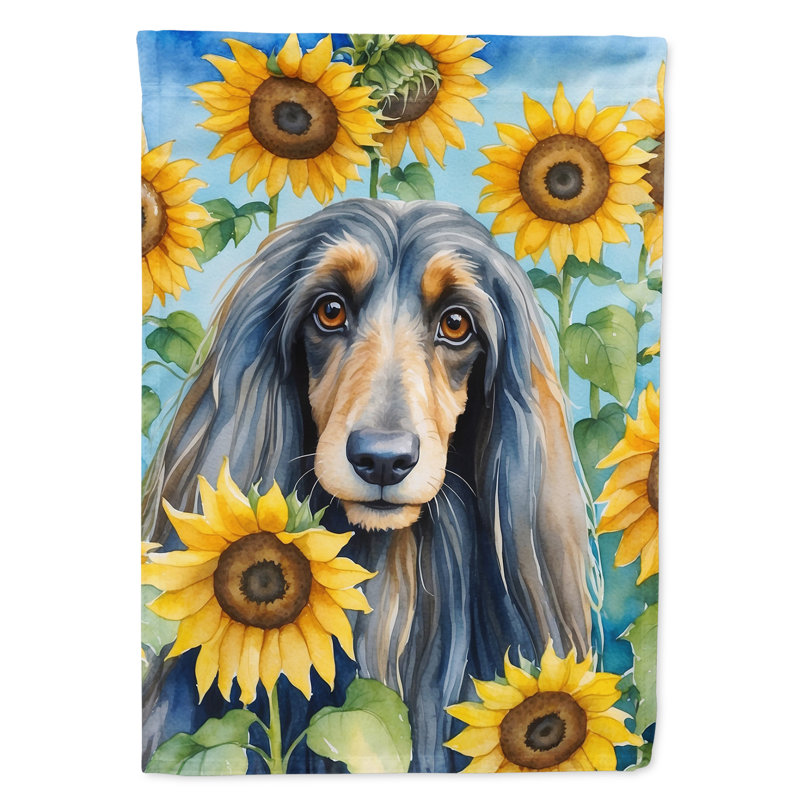 Drapeau de la maison du tournesol Malamute d'Alaska, Lévrier afghan
