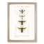 Wasp Illustrations PL. 2 by Charles DOrbigny - Framed Print-55611981-55611982