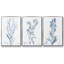 Ensemble de 3 pièces botaniques antiques en bleu I sur toile tendue-97759525-97759529
