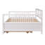 Lit de jour Pedersen moderne avec lit gigogne et structure en bois massif-125356249-125356250