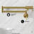 Ivy Retractable Wall-Mounted Pot Filler-109110367