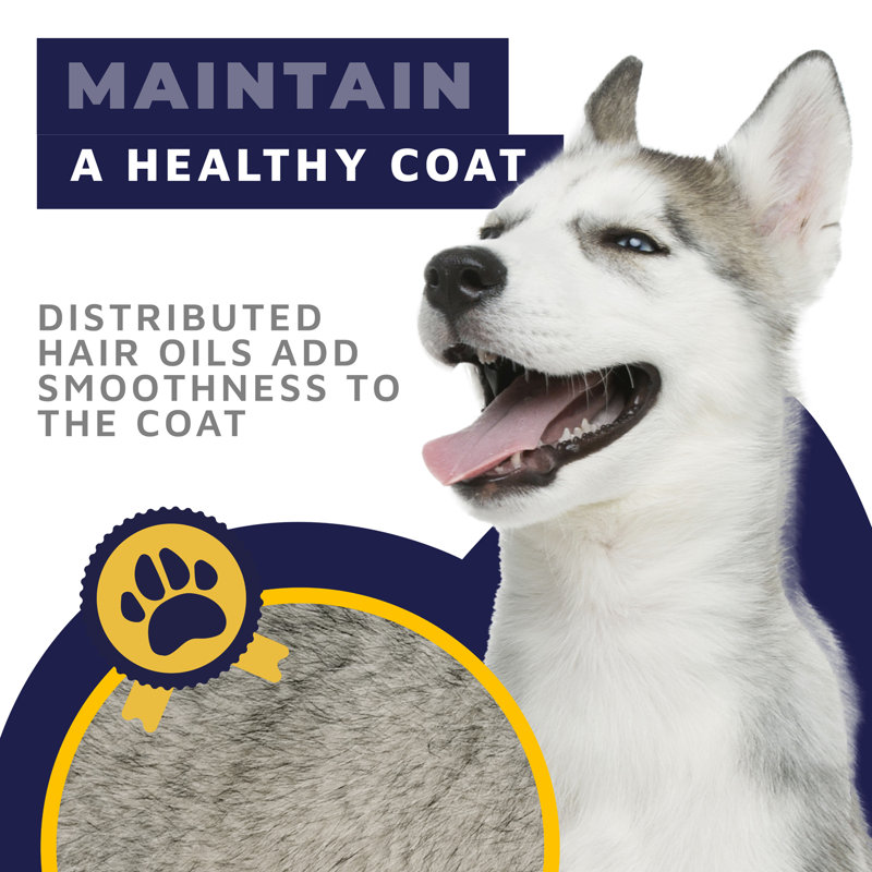 Professional Dual Dog Brush Bundle for Grooming, Deshedding, Dematting