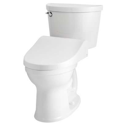 Spalets Elongated Toilet Seat Bidet
